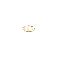 Iron Wire Kitchen Organizer Gold
