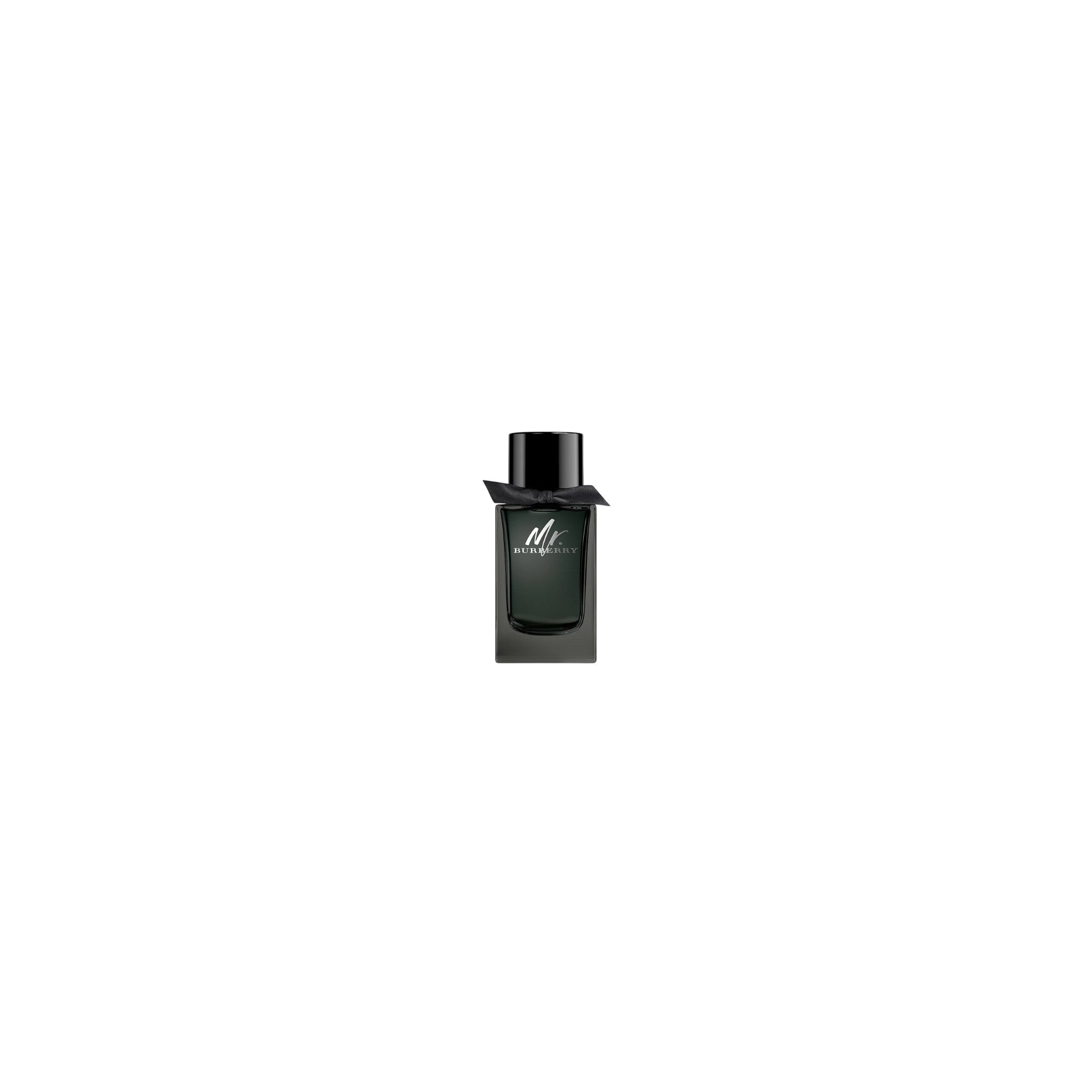 Burberry EDP for Men 100 ml