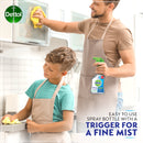 Dettol Antibacterial surface cleaner spray 500ml