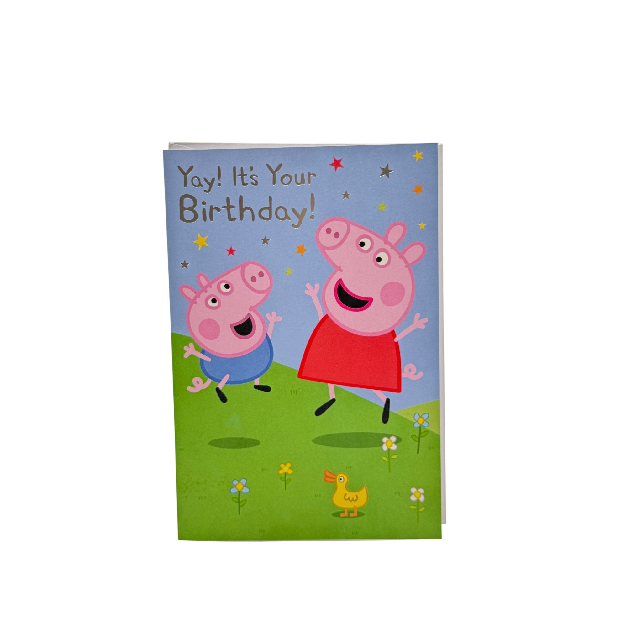 NICKELODEON ED Birthday Girl Pega Pig