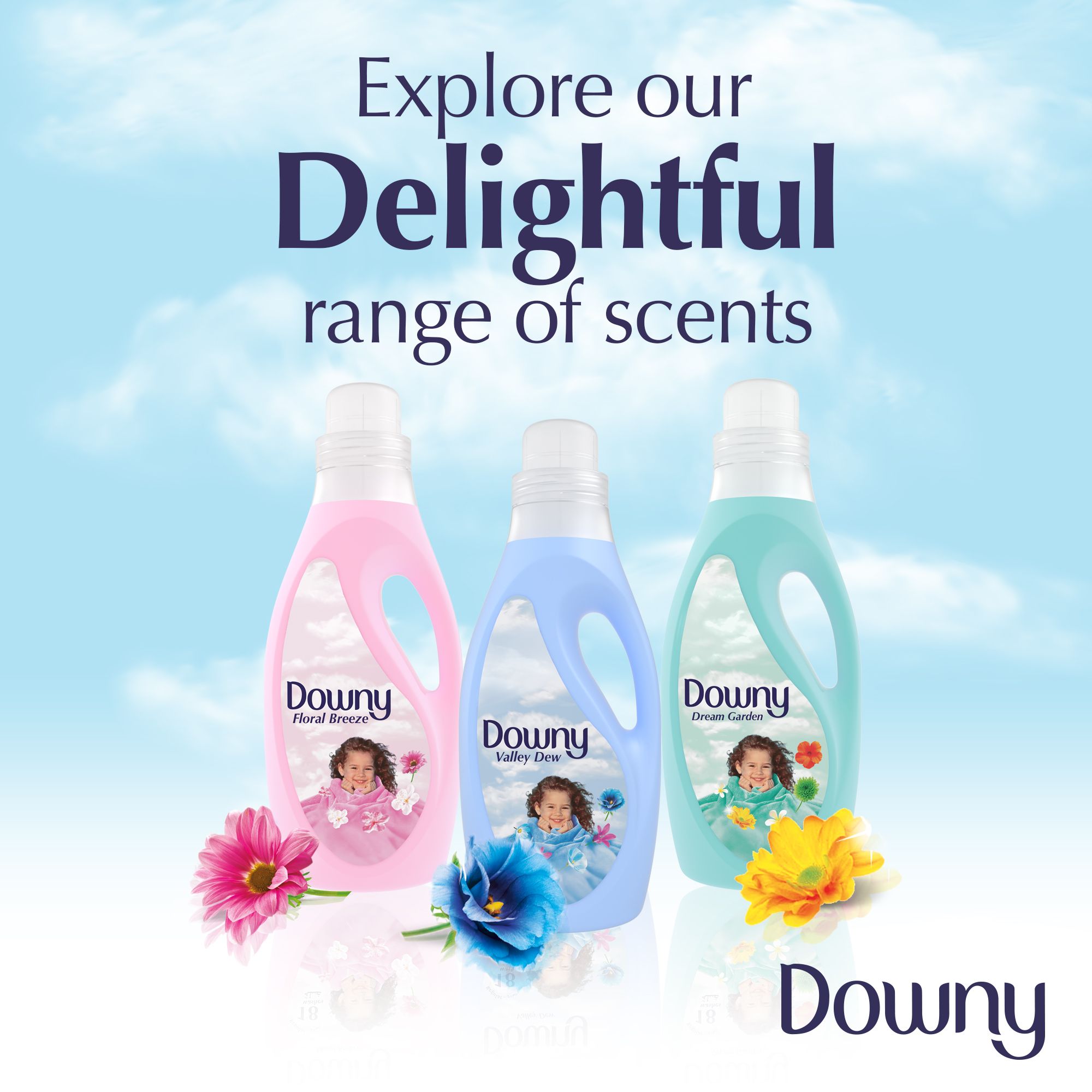 DWN Reg Valley Dew 1L         1x16-SU