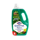 Clorox Scented Floor Cleaner Pine 3 l