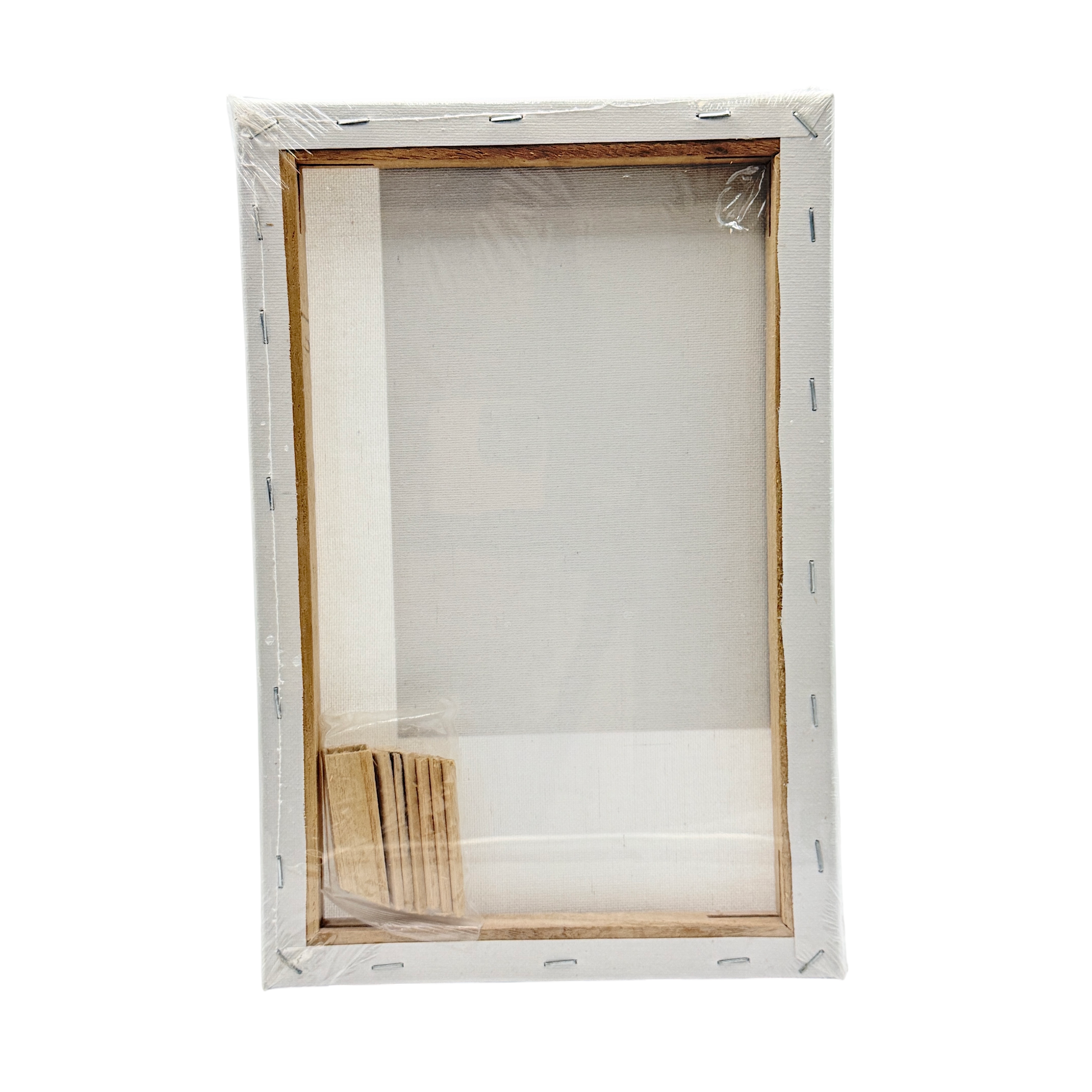 Cosmic Blank Canvas Plastic White 30x20x0.3 CM 3+