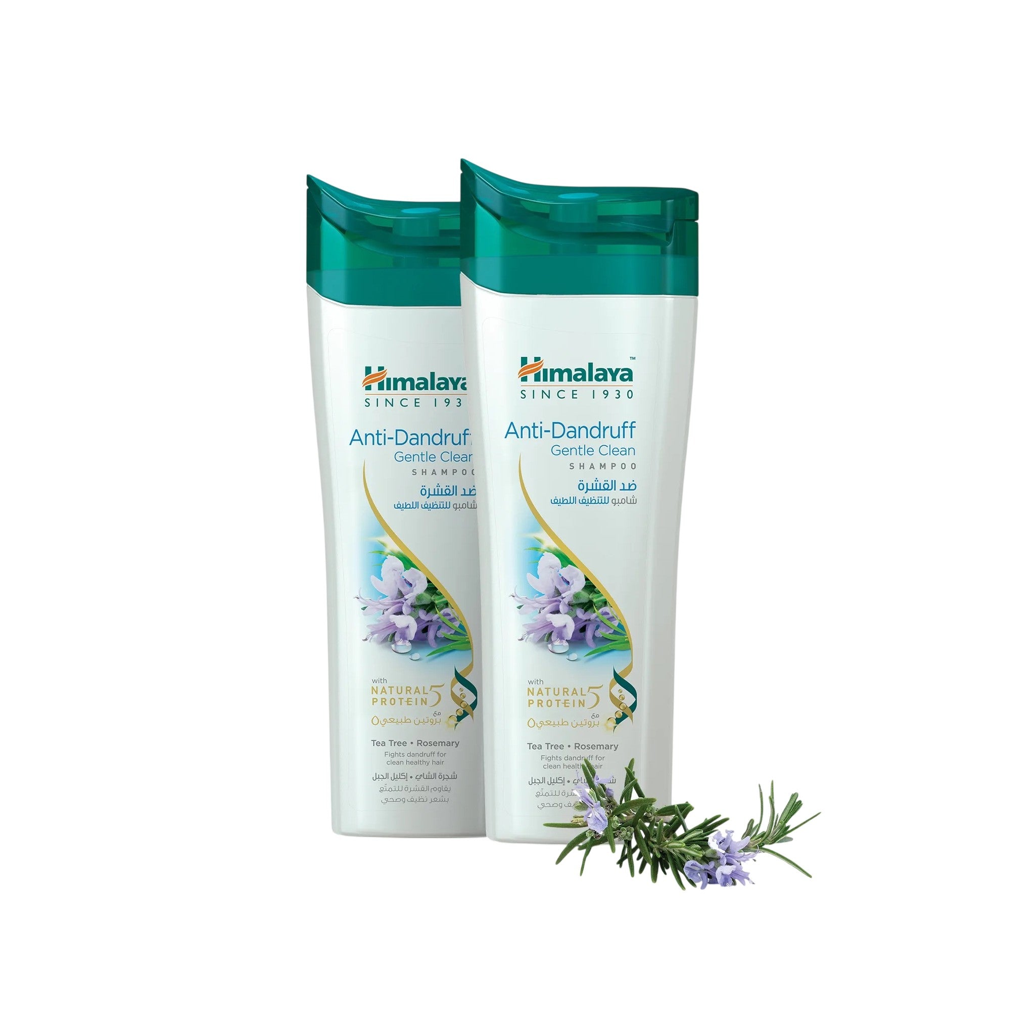 Himalaya Shampoo Anti Dandruff Gentle Clean 400 ml 2 Pcs