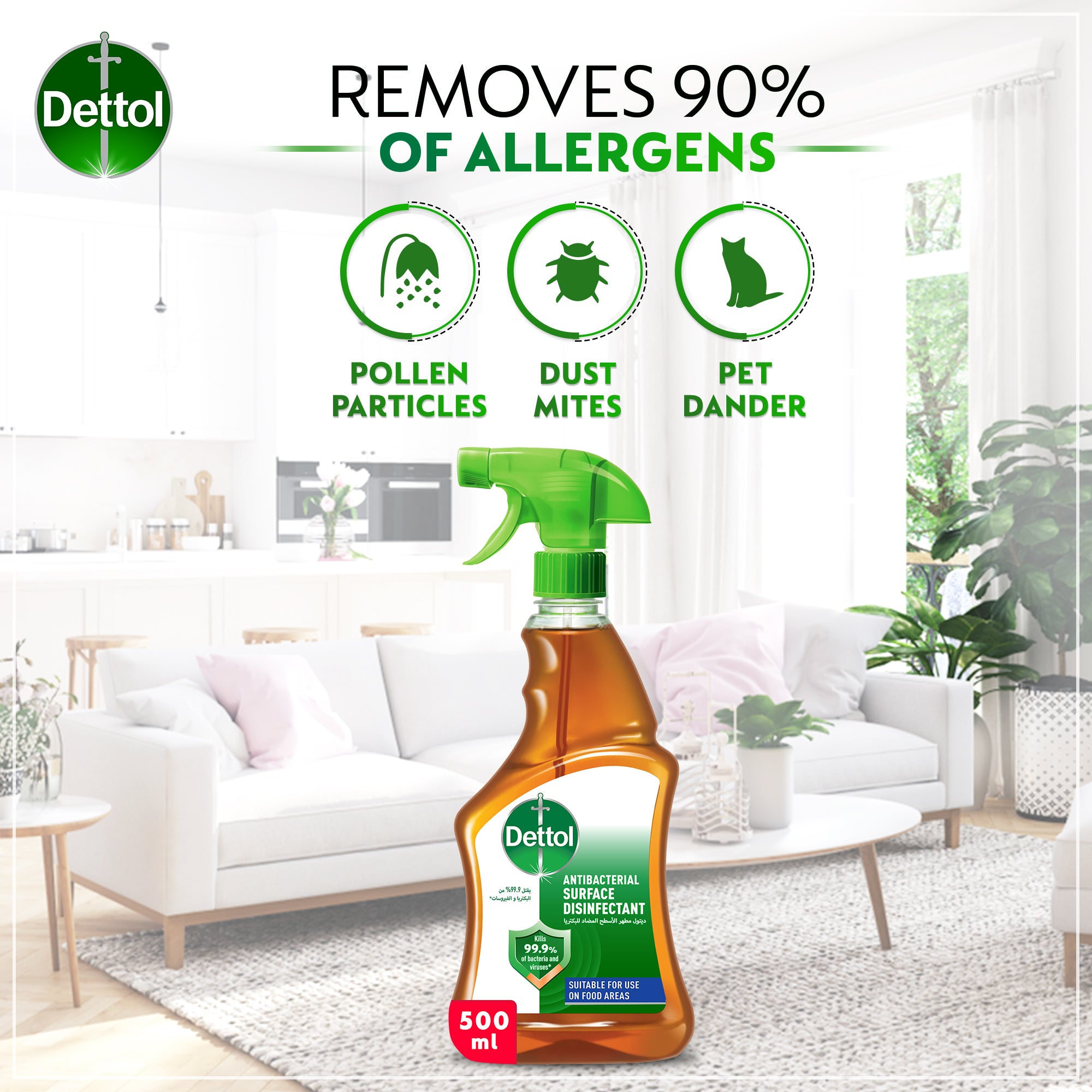 Dettol Antiseptic Anti-Bacterial Disinfectant Liquid spray 500 ml