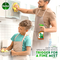 Dettol Antiseptic Anti-Bacterial Disinfectant Liquid spray 500 ml