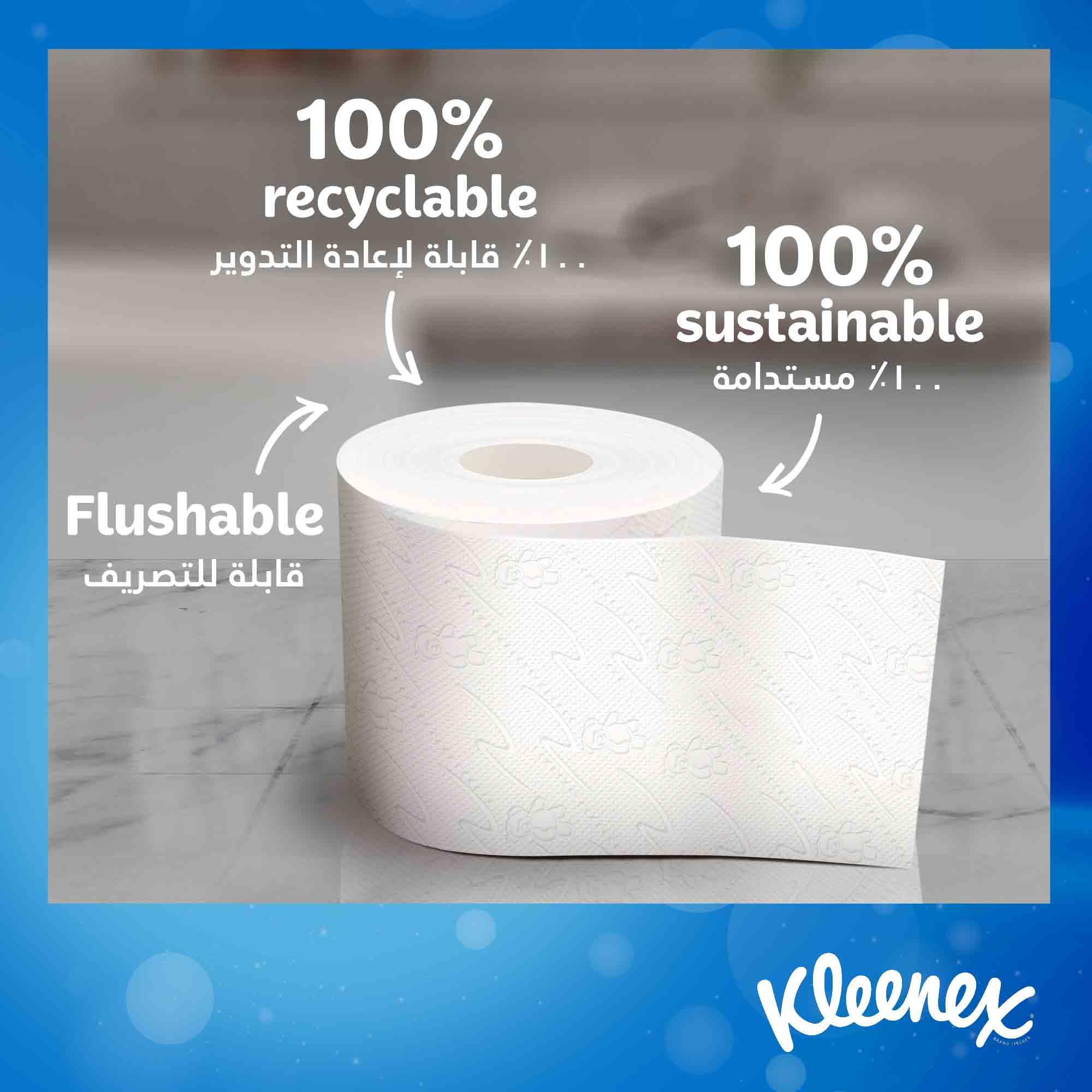 KLEENEX BATH TISSUES DRY SOFT 2PLY 12 ROLLS SPL PRICE