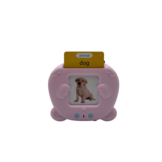 Talking Flash Cards Toy