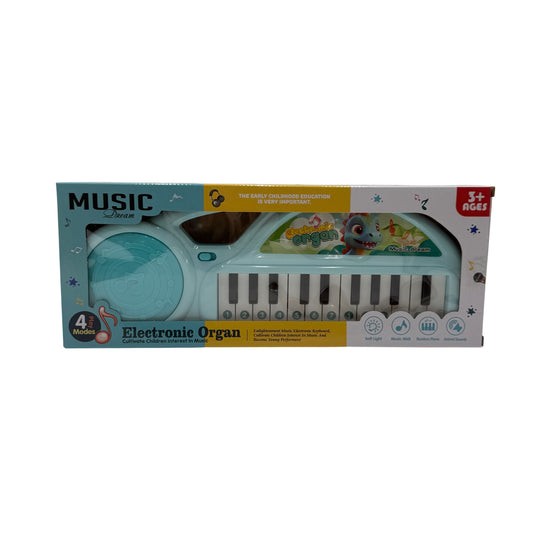 22 Key Electronic Keyboard Toy