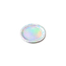 HK Disposable Tableware Paper Silver 20 CM 10 Pcs 3+