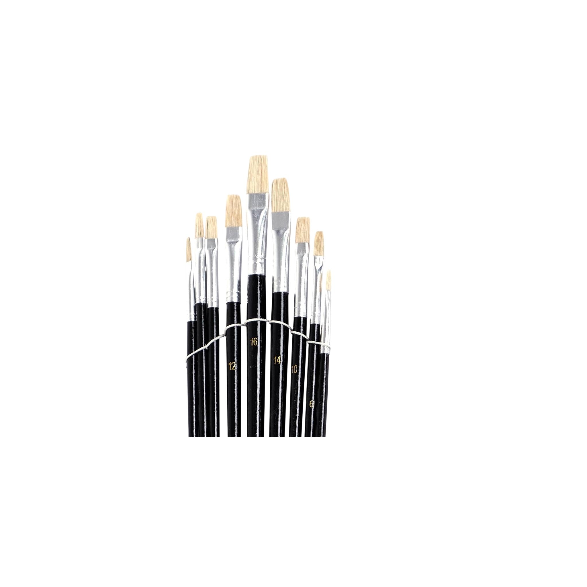 CH Paint Brush Plastic Multicolor 3+