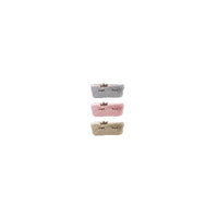 CH Pencil Case Plastic Multicolor 3+