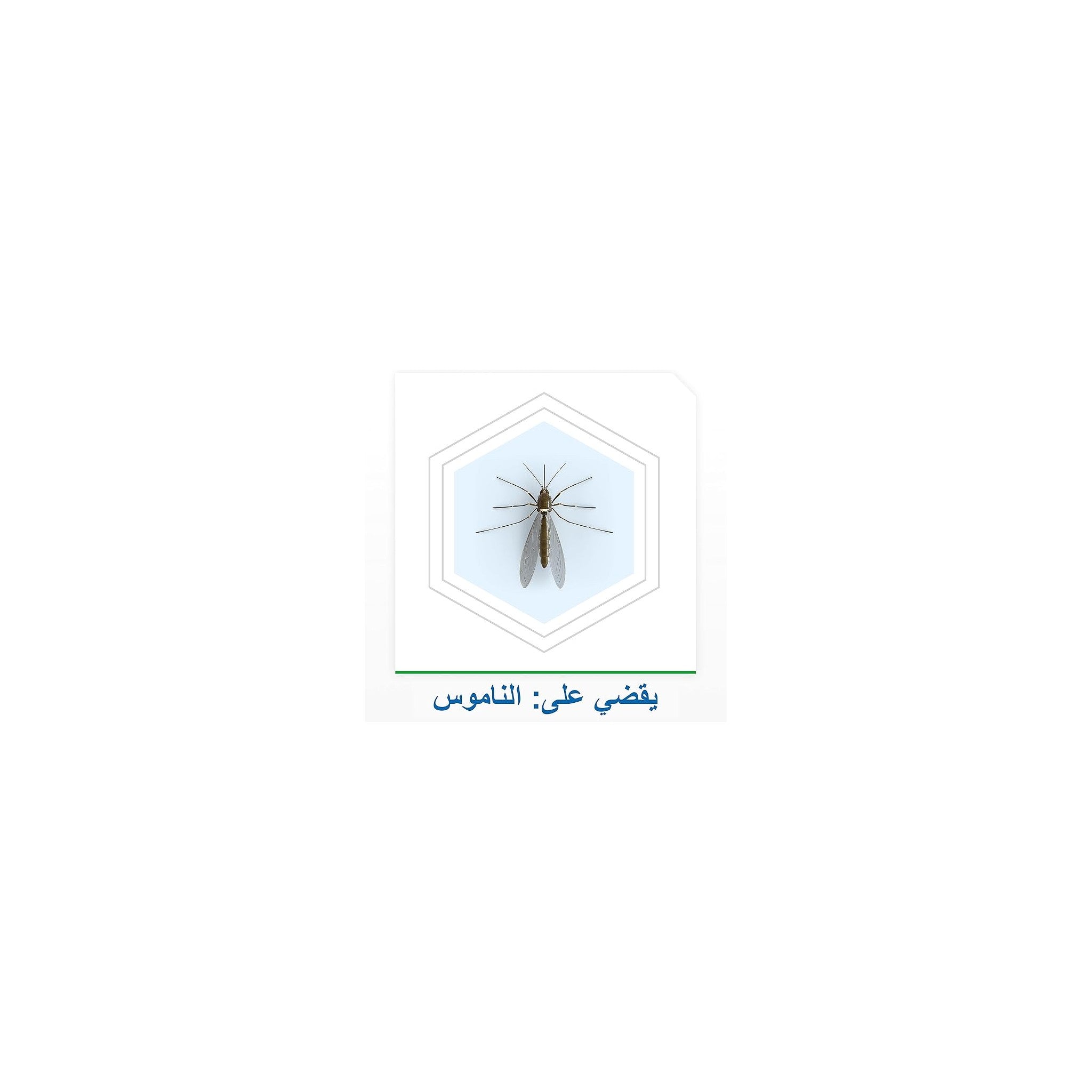 Raid LE Refill 21ML