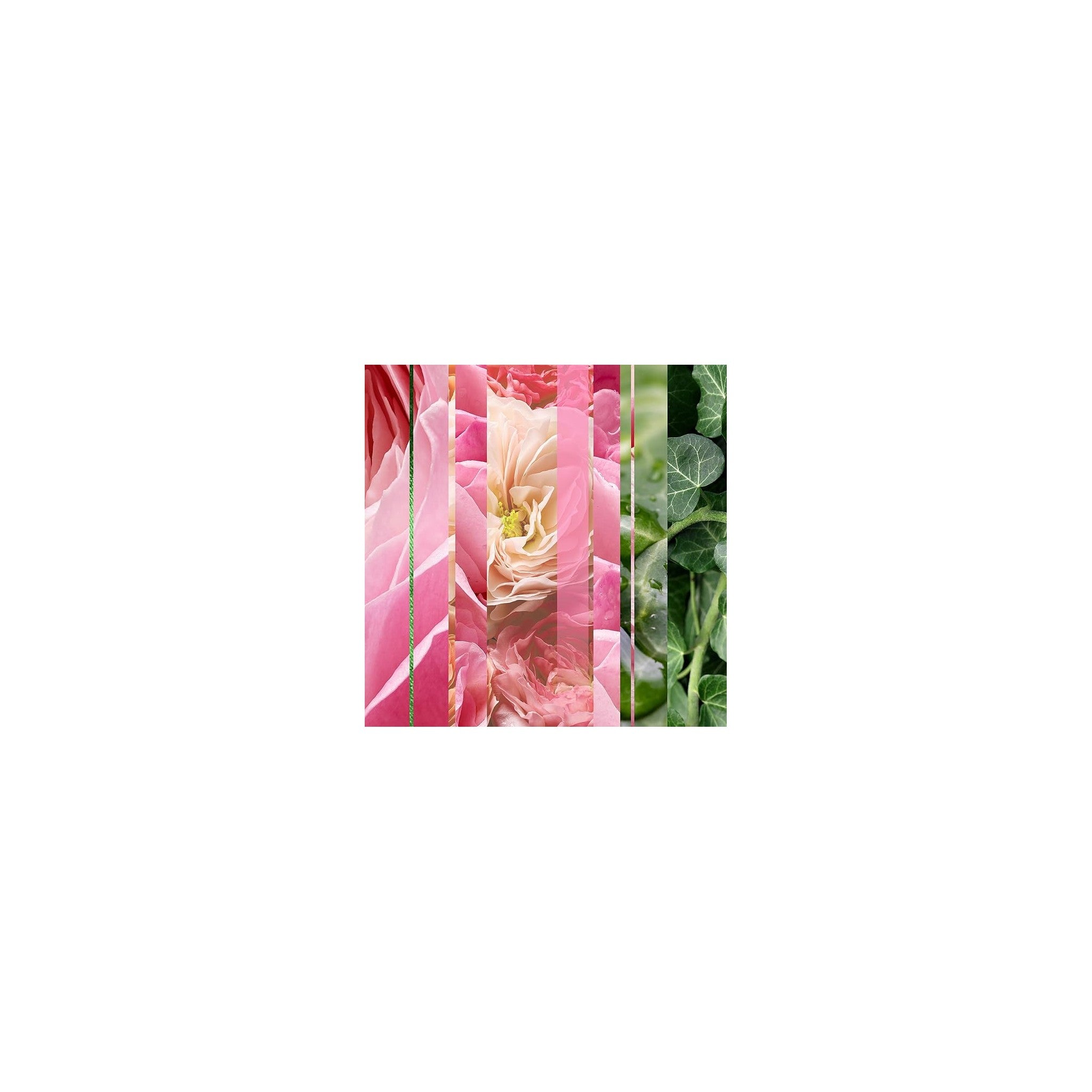 Glade Trigger RB Rose