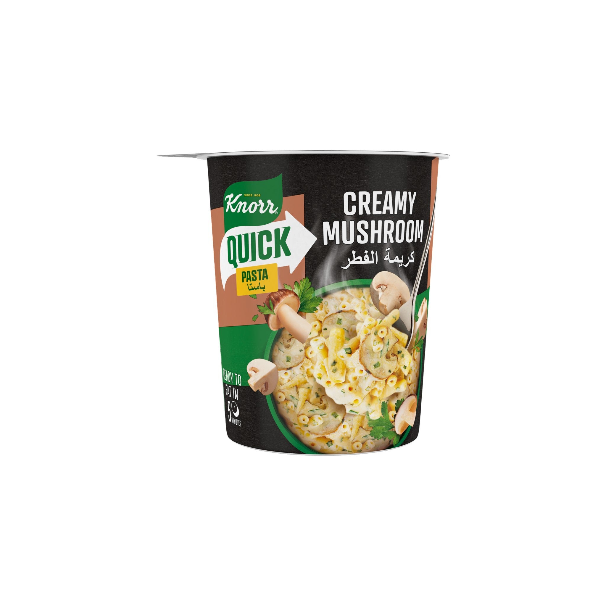 Knorr Instant Pasta Creamy Mushroom 67 gm