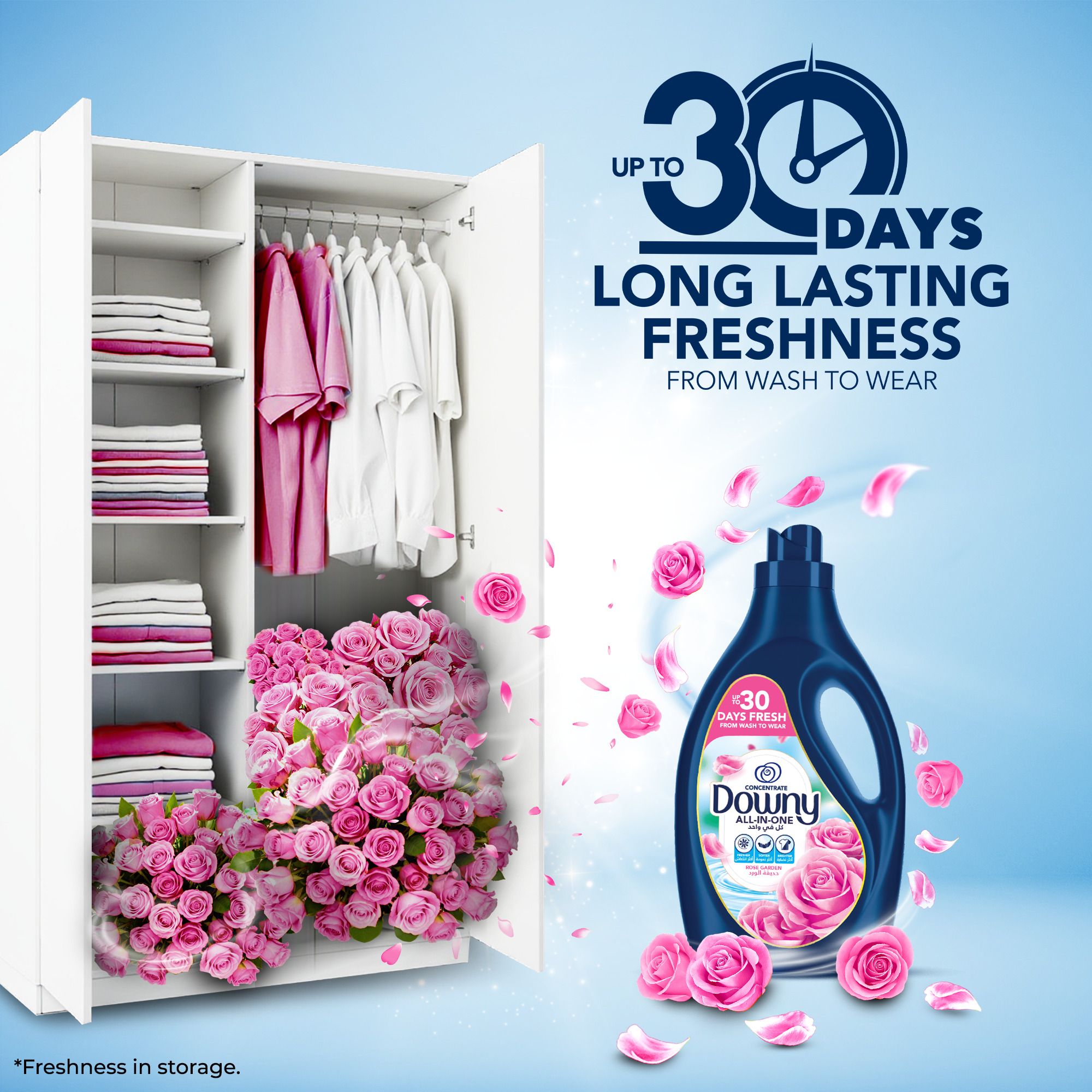 DWN CT Rose Garden Sp Offer 1L1x12-SU